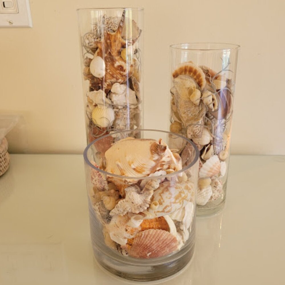 3 Vases with seashells